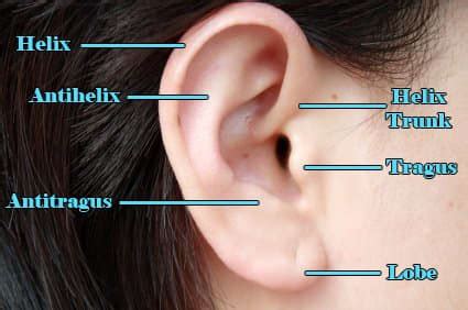 How to Care for a Helix or Forward Helix Piercing - TatRing