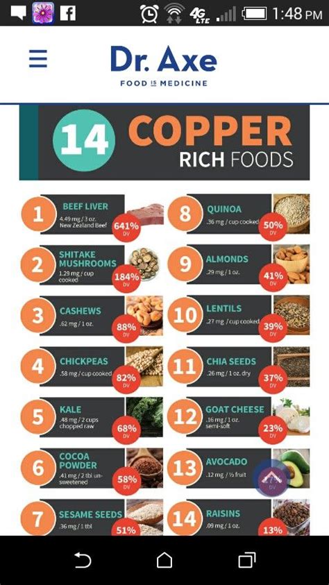 Copper-Rich Foods | Nutrition, Healing food, Food facts