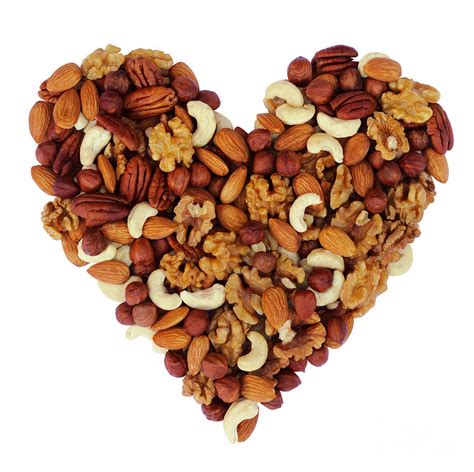 Nuts for a healthy heart Photograph by Rosemary Calvert - Pixels