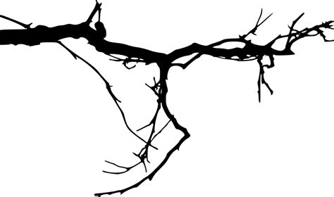 15 Simple Tree Branch Silhouettes (PNG Transparent) | OnlyGFX.com