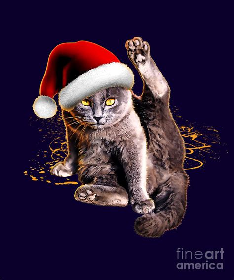 Funny Christmas Cat | ubicaciondepersonas.cdmx.gob.mx