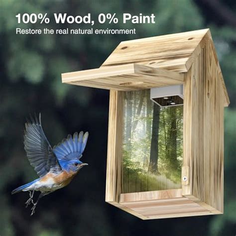 Smart Bird House with Camera,Bird House Camera with Nest Auto Capture ...