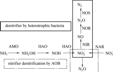 Denitrification Equation