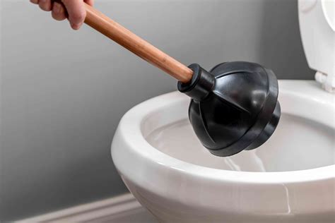 Toilet Plunger Hotsell | cityofclovis.org