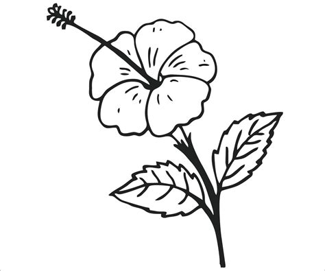 black and white flower sketch 19860893 Vector Art at Vecteezy