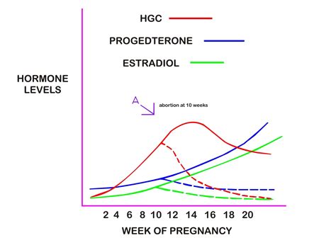 Pregnancy Hormone Levels Chart Progesterone: Definition, Lev