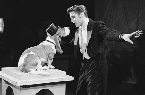 Who Really Came up With the Idea for Elvis Presley's Infamous 'Hound ...