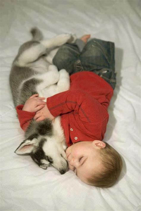 25 enternecedoras fotografías de perros durmiendo con bebés