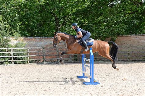 Horse Jumping Lessons - Easy Learning