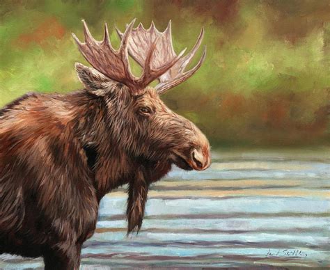 Bull Moose Painting by David Stribbling