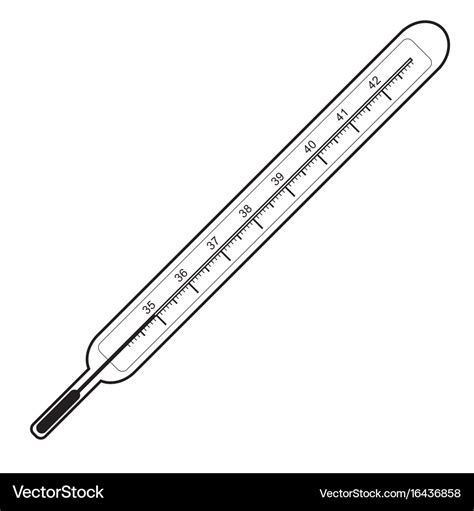 Clinical thermometer Royalty Free Vector Image