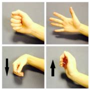 Wrist exercises.png - Cardiff and Vale University Health Board