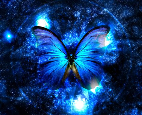 [100+] Blue Butterfly Wallpapers | Wallpapers.com