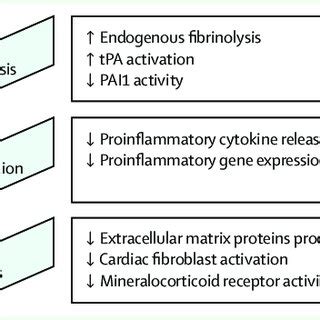 Potential effects of histone deacetylase inhibitors, based on animal ...