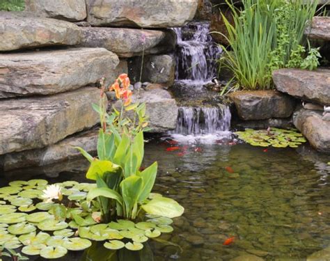 12 Koi Pond Design Ideas - Lawnstarter