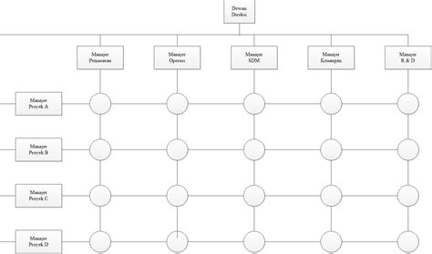 Struktur Organisasi Matriks Adalah