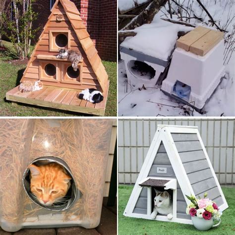 Outdoor Cat House Ideas - Must Watch in 2021 | Outdoor cat house, Outdoor cat house diy, Cat ...