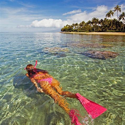 Best snorkeling spots on maui – Artofit