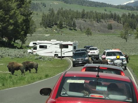 Yellowstone RV Camping