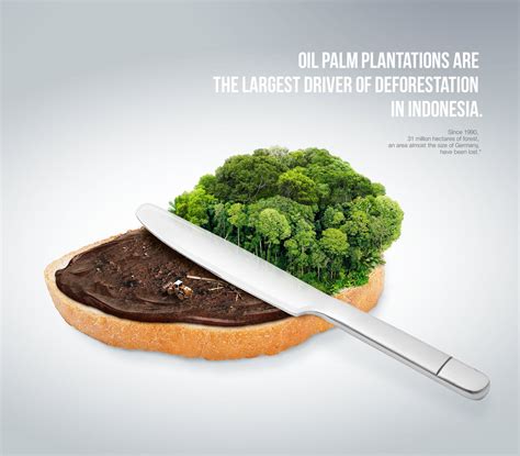 Palm oil and deforestation – Artofit