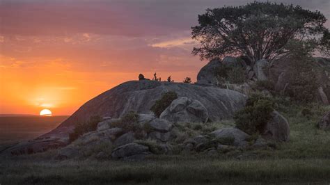 Serengeti National Park: Safari Adventure - Visit Tarangire