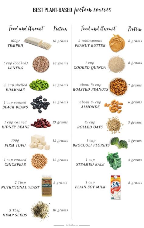 A Nutritionist Explains: The Best Plant-Based Protein Sources | Hello ...