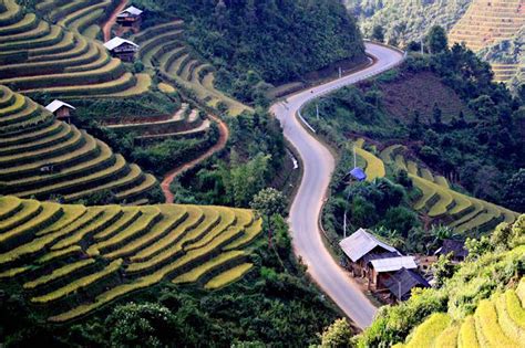 Rice Terraces Sapa - Best time to visit the terraced paddy fields in Sapa