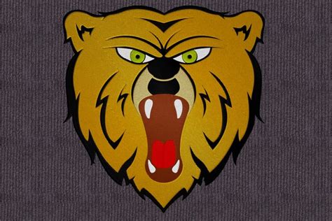 Embroidery design, Angry Bear Face