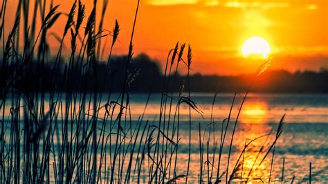 Crops Sunset Lake, HD Nature, 4k Wallpapers, Images, Backgrounds ...