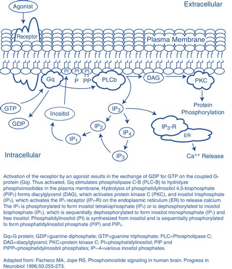 The Cell Membrane and Signal Transduction | Download Scientific Diagram