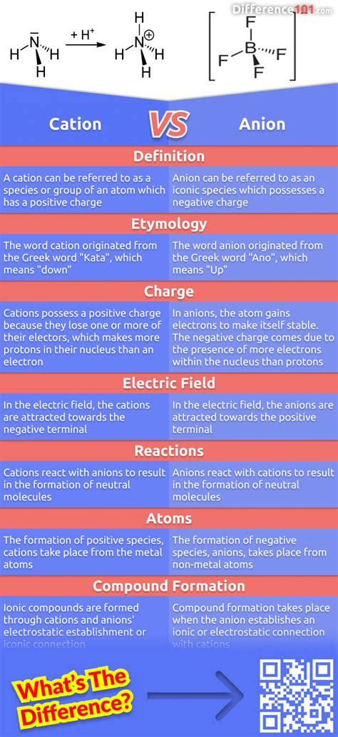 Cation vs. Anion: 7 Key Differences, Pros & Cons, Examples | Difference 101