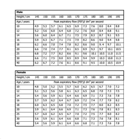 FREE 6+ Peak Flow Chart Templates in PDF | MS Word