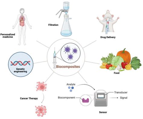 Introductory Chapter: Introduction to Biocomposites – New Insights ...