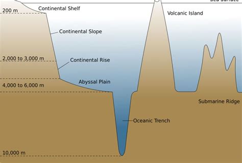 Ocean Trench Map