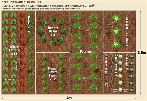 Vegetable Garden Layout Diagram