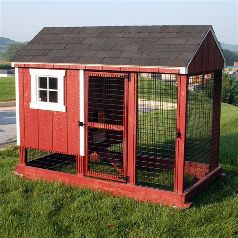 Chicken Coop Build: Chicken Coop Run Roof Ideas