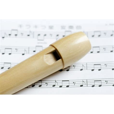 Sheet Music Wind Instrument Flute Block Flute-20 Inch By 30 Inch ...