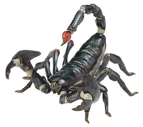 Revo Geo Emperor Scorpion (Pandinus Imperator) Action Figure - Walmart ...