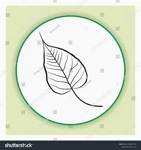 Bodhi Leaf Vector Design Illustration Line Stock Vector (Royalty Free ...