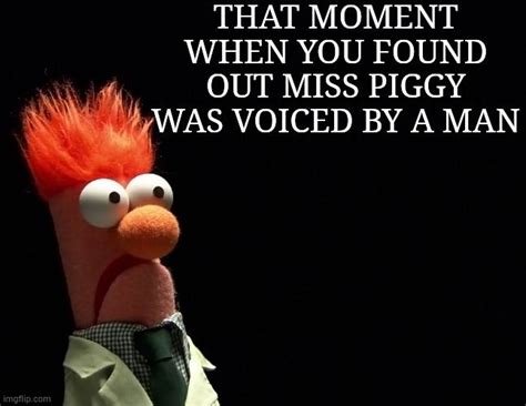 #Beaker #Muppets #Funny #memes #witty #silly | Muppet meme, Muppets ...