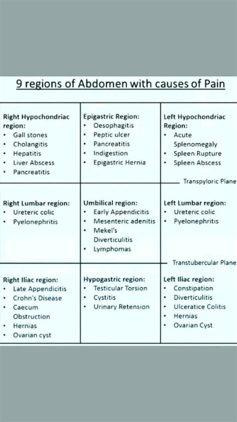 9 regions of the abdomen with pain causes – Artofit