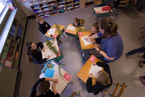 Victory! Environmental education returned to B.C. education curriculum ...