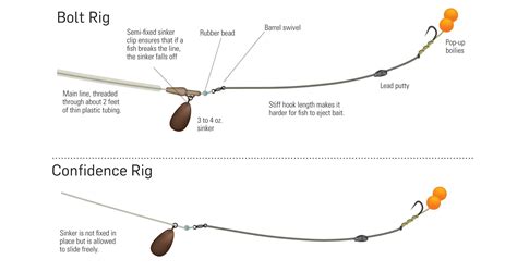 Carp Rigs Diagrams Rigs Carp Diagrams