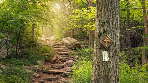 Appalachian Trail Thru Hikers 2024 - Celie Darleen