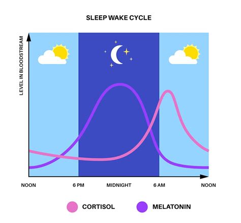 Understanding The Circadian Rhythm | Empirics Asia