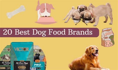 20 Best Dog Food Brands