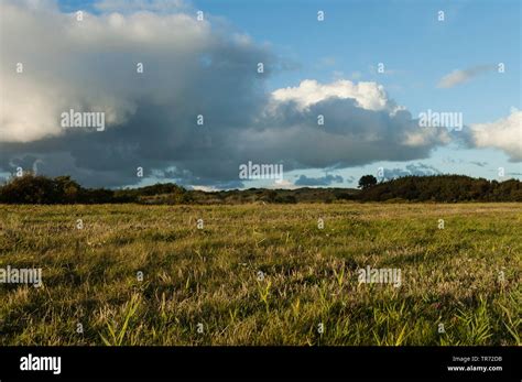 Dark cloudy sky over grassland in dunes, Netherlands, Vlieland Stock ...