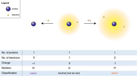 Difference Between Anion and Cation | Compare the Difference Between ...