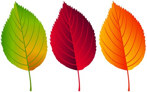 Colorful Fall Leaves PNG Clip Art Image | Gallery Yopriceville - High ...