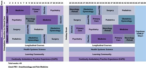 MD Curriculum | NYU Grossman Long Island School of Medicine | NYU ...